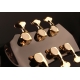 GUITARE CORT SEVEN STARS NOIR BRILLANT