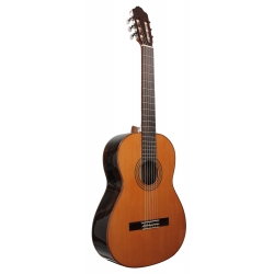 GUITARE ESTEVE 3Z F/E ZIRICOTE