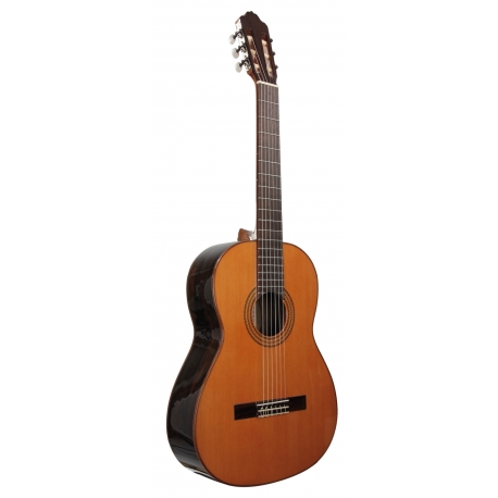 GUITARE ESTEVE 3Z F/E ZIRICOTE