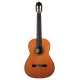 GUITARE ESTEVE 3Z F/E ZIRICOTE