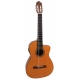 GUITARE ESTEVE 4ST CE, PAN COUPE