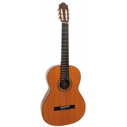 GUITARE ESTEVE 4ST TABLE CEDRE BRILLANT