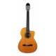 GUITARE ESTEVE 4ST, PAN COUPE, SILLET 48
