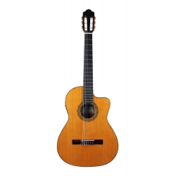 GUITARE ESTEVE 4ST, PAN COUPE, SILLET 48