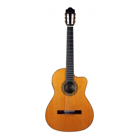 GUITARE ESTEVE 4ST, PAN COUPE, SILLET 48