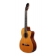 GUITARE ESTEVE 4ST, PAN COUPE, SILLET 48