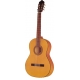 GUITARE ESTEVE 5F TABLE EPICEA
