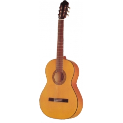 GUITARE ESTEVE 5F TABLE EPICEA