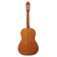 GUITARE ESTEVE 5F TABLE EPICEA
