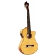 GUITARE ESTEVE 5FCE TABLE EPICEA