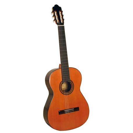 GUITARE ESTEVE 6PS