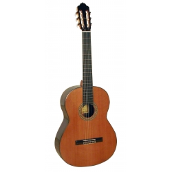 GUITARE ESTEVE 7SR TABLE CEDRE