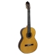 GUITARE ESTEVE 8C/B, EDITION LIMITEE