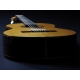GUITARE ESTEVE 8C/B, EDITION LIMITEE