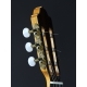 GUITARE ESTEVE 8C/B, EDITION LIMITEE