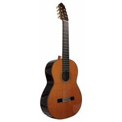 GUITARE ESTEVE 9C/B 7 CORDES CEDRE