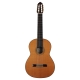 GUITARE ESTEVE 9C/B 7 CORDES CEDRE