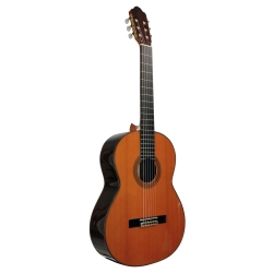 GUITARE ESTEVE 9C/B TABLE CEDRE