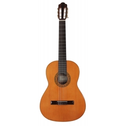 GUITARE ESTEVE MOD.1PS TABLE CEDRE