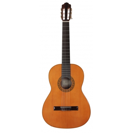 GUITARE ESTEVE MOD.1PS TABLE CEDRE