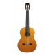 GUITARE ESTEVE MOD.8 LH TABLE CEDRE