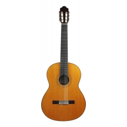 GUITARE ESTEVE MOD.8 LH TABLE CEDRE