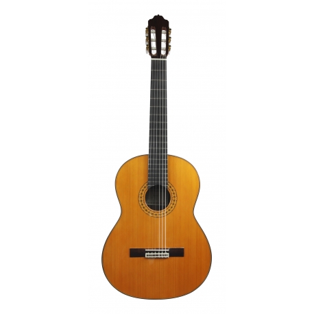 GUITARE ESTEVE MOD.8 LH TABLE CEDRE