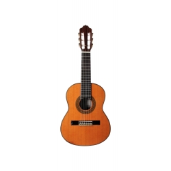 GUITARE ESTEVE OCTAVE 3G740, DIAP. 40 CM