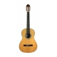 GUITARE ESTEVE SEGURA CEDRE NAT SAT