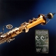 MICRO SD SYSTEMS SAXO SOPRANO EXTRA