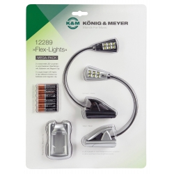 PACK DE 2 LAMPES DE PUPITRE KM 12289