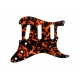 PLAQUE DE PROTECTION WILD CAT ORANGE GUI