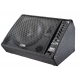 RETOUR ACTIF LANEY 120W/1X12"