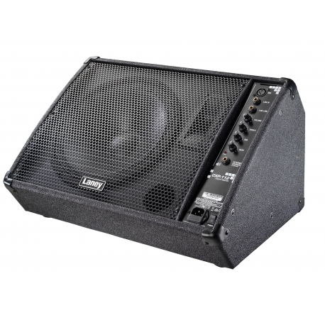 RETOUR ACTIF LANEY 120W/1X12"