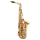 SAXOPHONE ALTO ANTIGUA AS3100LQCH