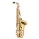 SAXOPHONE ALTO ANTIGUA AS4240LQCH