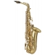 SAXOPHONE ALTO ANTIGUA AS4248CBGH