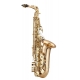 SAXOPHONE ALTO ANTIGUA AS4248RLQGH