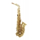 SAXOPHONE ALTO TREVOR JAMES 3722G