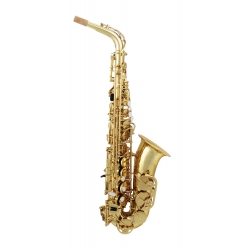 SAXOPHONE ALTO TREVOR JAMES 3722G