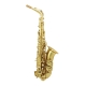 SAXOPHONE ALTO TREVOR JAMES SR EVO 374SE