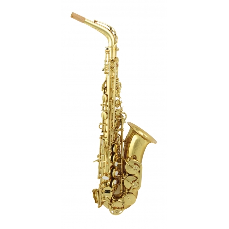 SAXOPHONE ALTO TREVOR JAMES SR EVO 374SE