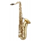 SAXOPHONE TENOR ANTIGUA TS4248LQGH