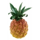 SHAKER NINO FRUIT ANANAS