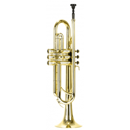 TROMPETTE SI BEMOL PLAY IT BTR-150G