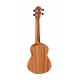 UKULELE CONCERT ORTEGA, SAPELLI