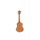 UKULELE CONCERT ORTEGA, SAPELLI, EQ
