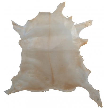 GEWA MADE IN GERMANY Parchemin