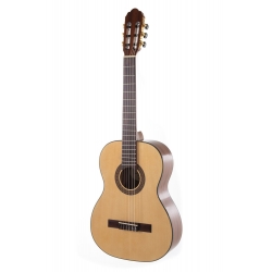 GEWA Guitare classique Pro Arte GC 100 A