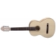 GEWA Guitare classique Pro Natura Silver 4/4